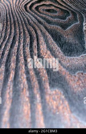 Bellezza naturale del legno bruciato, superficie in legno nero profondo lucidato in closeup estremo Foto Stock