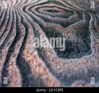 Bellezza naturale del legno bruciato, superficie in legno nero profondo lucidato in closeup estremo Foto Stock