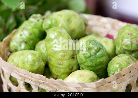 Frutta esotica / Grande morinda, gelso indiano, gelso da spiaggia, noni tahitiani , noni, nono, meng kudu, nonu, ach Foto Stock