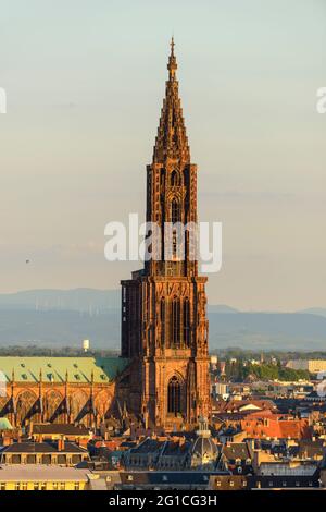 FRANCIA, BAS-RHIN (67), STRASBURGO, FRECCIA E CATTEDRALE NOTRE-DAME DE STRASBOURG Foto Stock