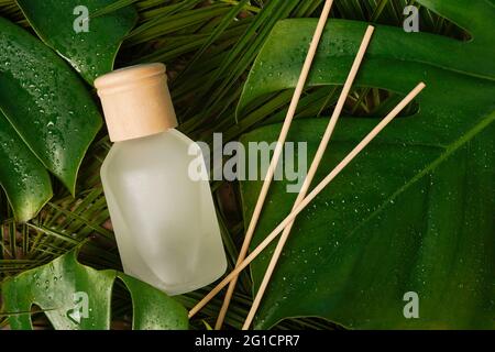 aroma diffusore di canna fragranza domestica con bastoncini di rattan su sfondo nero con foglie di palma Foto Stock