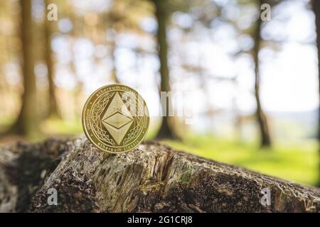 Primo piano di Ethereum su un tree stump all'aperto con sfondo verde naturale della foresta sfocata con spazio di copia. Moneta unica in oro ETH criptovaluta. Enviro Foto Stock