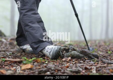 Primo piano di un trekking gambe distese caviglia che cammina in una foresta Foto Stock