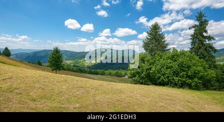 campo di fieno in montagna. meraviglioso paesaggio rurale. giorno estivo soleggiato. nuvole sul cielo Foto Stock