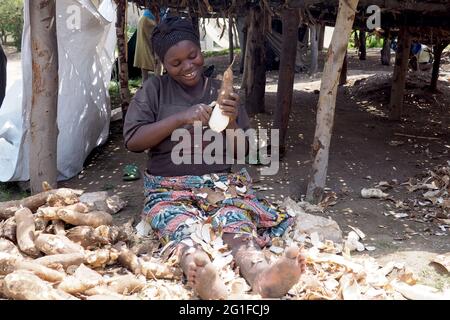 Le donne che raccolgono i filati in Ruanda, un alimento base di molti africani Foto Stock