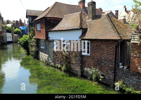 Vista del fiume Great Stour dal ponte dei Frati, Canterbury, Kent, Inghilterra, Regno Unito Foto Stock