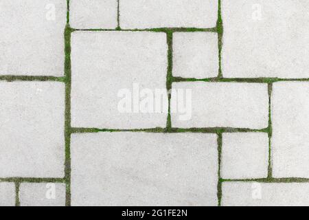 Posa di pietre grigie per pavimentazione in cemento con muschio sul cortile della casa Foto Stock