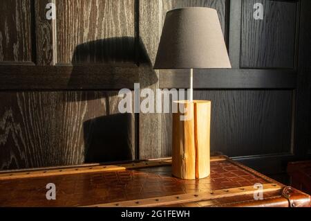 lampada singola sul piano del tavolo davanti alla parete scura pannellata in luce naturale che getta la sua ombra sulla parete con spazio per la copia Foto Stock