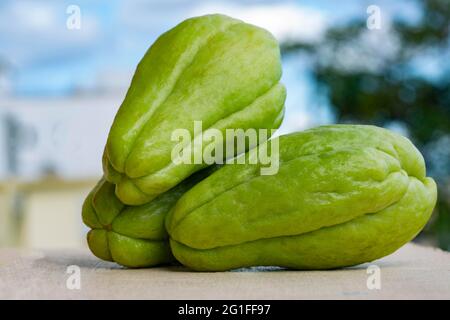 Verdure fresche di zucca di chayote verdi biologiche Foto Stock