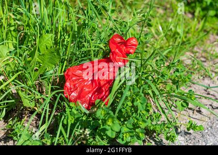 Sacco per l'escrezione di cani, Baden-Wuerttemberg, Germania Foto Stock