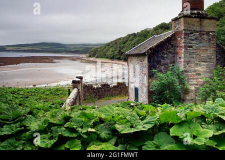 Spiaggia, Firth of Clyde, gas House, gas Managers House, Old gas House, National Trust for Scotland, Culzean Castle, Maybole, South Ayrshire, Lowlands Foto Stock