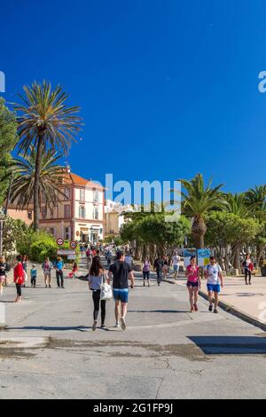 FRANCIA, PROVENZA-ALPI-COSTA AZZURRA. VAR (83) ARCIPELAGO DELLE ISOLE DI HYERES, ISOLA DI PORQUEROLLES Foto Stock