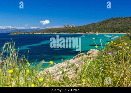 FRANCIA, PROVENZA-ALPI-COSTA AZZURRA. VAR (83) ARCIPELAGO DELLE ISOLE DI HYERES, PORQUEROLLES ISLAND, COURTADE BEACH Foto Stock