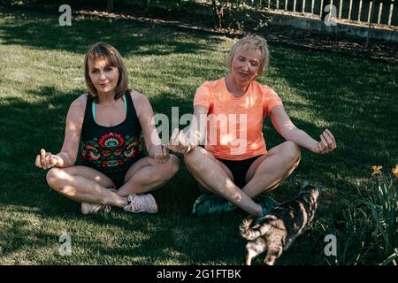 Due donne anziane di 55-59 anni siedono sull'erba in posizione di loto il giorno d'estate con il gatto Foto Stock