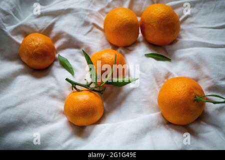 Tangerini clementini sul foglio bianco del letto. Vista dall'alto Foto Stock