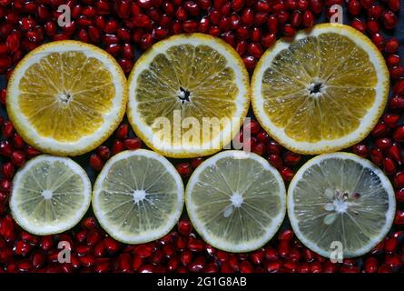 Fette di limone e arancio su fondo di semi di melograno, consistenza senza cuciture Foto Stock