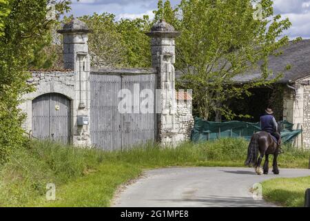 Francia, Indre et Loire, Rilly-sur-Vienne Foto Stock