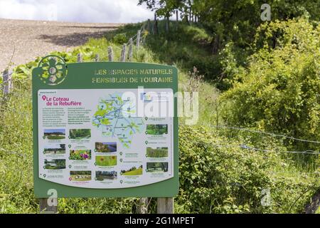 Francia, Indre et Loire, Rilly-sur-Vienne, transumanza delle pecore dei Pastori di Veude in Chaveignes, verso le colline calcaree di Rilly-sur-Vienne, i prati appartenenti al Consiglio dipartimentale sono classificati ZNIEFF (aree naturali di interesse ecologico in faunistico e floristico) Foto Stock