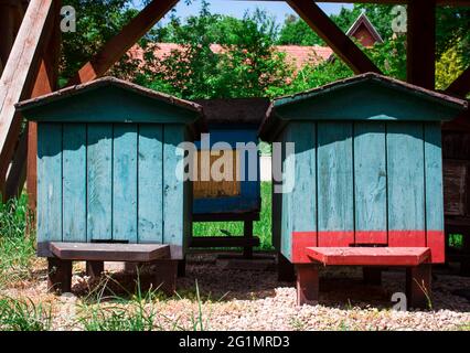 Vecchie alveari colorati in foresta Foto Stock