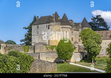 Francia, Dordogna, Perigord nero, Sainte Mondane, Castello di Fenelon (vista aerea) Foto Stock