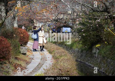 KYOTO, GIAPPONE - 10 dicembre 2019: Kyoto, Giappone - 24 novembre 2019: I turisti osservano i colori autunnali lungo il percorso del filosofo a Kyoto. Foto Stock