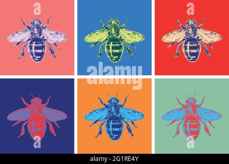 Illustrazione vettoriale dello schizzo disegnata a mano con Bee Art. Pop art Illustrazione Vettoriale