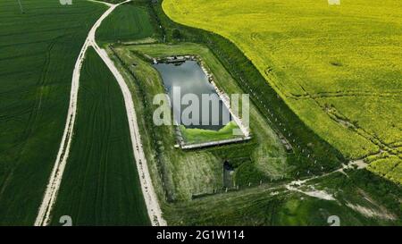 Campo di colza in fiore. Campi agricoli. Il bordo con il campo granella è visibile. Fotografia aerea. Foto Stock