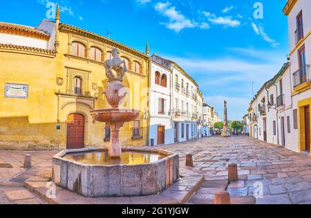 La medievale Piazza Potro con fontana Potro, decorata con scultura in pietra colt, imponente edificio di Hospital de la Caridad (Museo delle Belle Arti) A. Foto Stock