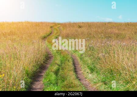 Strada sterrata di campagna che conduce sulla collina intorno a prati asciutti, fiori selvatici maturati ed erbe in una giornata estiva Foto Stock