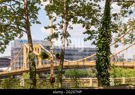 Il ponte Andy Warhol con l'edificio Arconic Alcoa alle sue spalle visto attraverso gli alberi del centro di Pittsburgh, Pennsylvania, USA Foto Stock