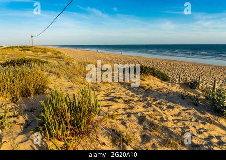 Ampia spiaggia sabbiosa di Faro con dune e passerelle al tramonto, Faro, Algarve, Portogallo Foto Stock