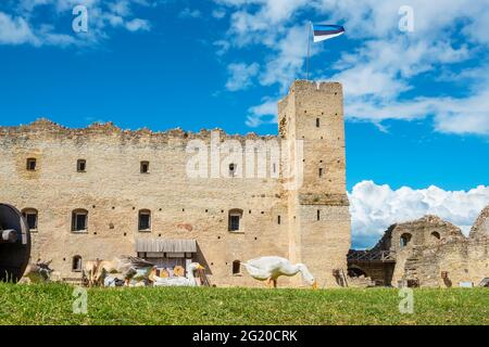 Le oche pascolano sul cortile del castello medievale di Rakvere. Estonia, Stati baltici, Europa Foto Stock