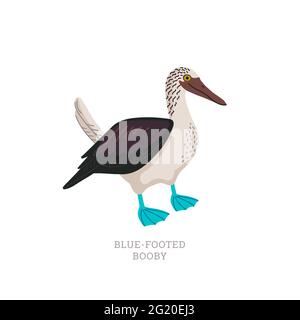 Raccolta di animali rari. Booby a piedi blu. Uccello marino tropicale con piedi blu luminoso. Illustrazione vettoriale in stile piatto isolata su sfondo bianco Illustrazione Vettoriale
