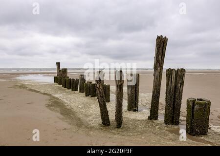 Spiaggia nei Paesi Bassi con bolle d'aria Foto Stock