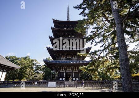 OSAKA, GIAPPONE - 24 dicembre 2019: Nara, Giappone - 27 novembre 2019: La Pagoda a cinque piani del Tempio di Kofukuji a Nara, Giappone. Foto Stock