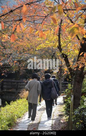 KYOTO, GIAPPONE - 10 dicembre 2019: Kyoto, Giappone - 24 novembre 2019: I turisti osservano i colori autunnali lungo il percorso del filosofo a Kyoto. Foto Stock