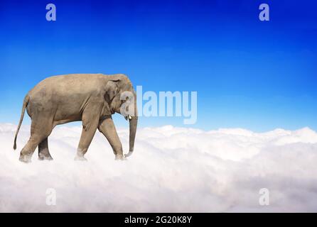 Banner orizzontale con elefante sopra le nuvole su sfondo blu del cielo. Simpatico elefante nel cielo. Scena fantastica con un elefante che cammina sulle nuvole. Foto Stock