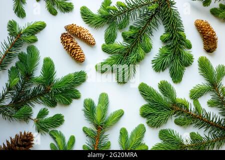 Sfondo natalizio, ramoscelli e coni di pino su sfondo bianco. Vacanze e concetto di nuovo anno Foto Stock