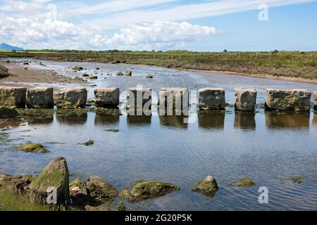 Le pietre rhuddgaer o Giant's Stepping attraversano il fiume Braint vicino a Newborough sull'Isola di Anglesey, Galles. Sono grandi blocchi di pietra calcarea. Foto Stock