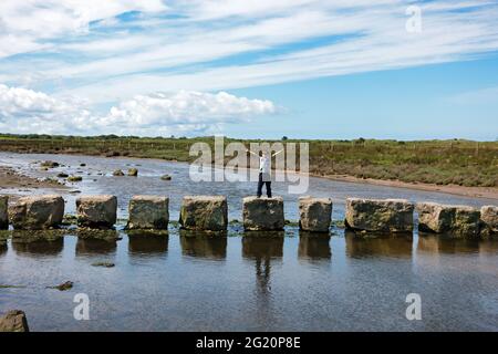 Le pietre rhuddgaer o Giant's Stepping attraversano il fiume Braint vicino a Newborough sull'Isola di Anglesey, Galles. Sono grandi blocchi di pietra calcarea. Foto Stock