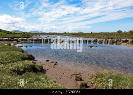 Le pietre rhuddgaer o Giant's Stepping attraversano il fiume Braint vicino a Newborough sull'Isola di Anglesey, Galles. Sono grandi blocchi di pietra calcarea. Foto Stock