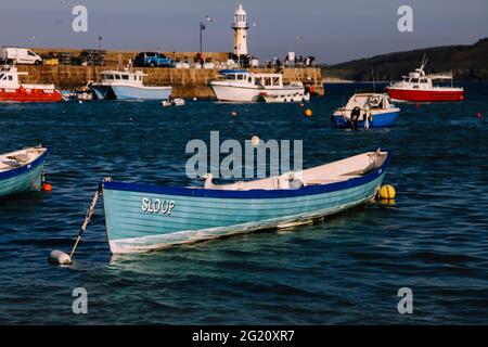 Uccello gabbiano seduto in barca da traino 'loop' nel porto di St Ives, Wharf Road, St. Ives, Cornovaglia, Regno Unito, Maggio 2021 Foto Stock