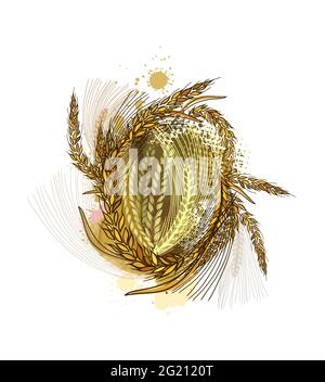 Sfondo astratto con orecchie di grano. Illustrazione vettoriale Illustrazione Vettoriale