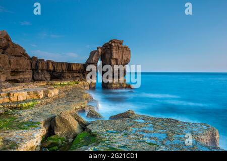 Portland Bill, Dorset, Regno Unito. 7 giugno 2021. Regno Unito Meteo. Pulpit Rock a Dusk a Portland Bill sulla Dorset Jurassic Coast alla fine di una calda giornata di sole. Picture Credit: Graham Hunt/Alamy Live News Foto Stock