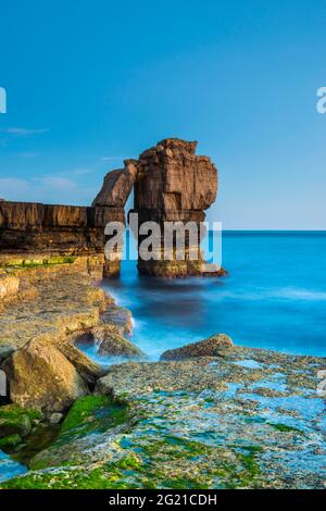 Portland Bill, Dorset, Regno Unito. 7 giugno 2021. Regno Unito Meteo. Pulpit Rock a Dusk a Portland Bill sulla Dorset Jurassic Coast alla fine di una calda giornata di sole. Picture Credit: Graham Hunt/Alamy Live News Foto Stock