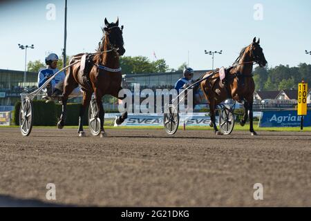 210530 - evento di trotting Elitloppet sul circuito di Solvalla a Stoccolma, Svezia. Foto di alta qualità Foto Stock
