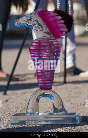 210530 - evento di trotting Elitloppet sul circuito di Solvalla a Stoccolma, Svezia. Foto di alta qualità Foto Stock