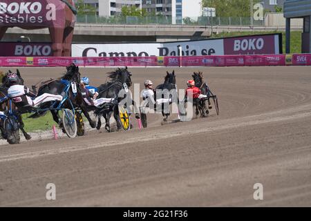 210530 - evento di trotting Elitloppet sul circuito di Solvalla a Stoccolma, Svezia. Foto di alta qualità Foto Stock