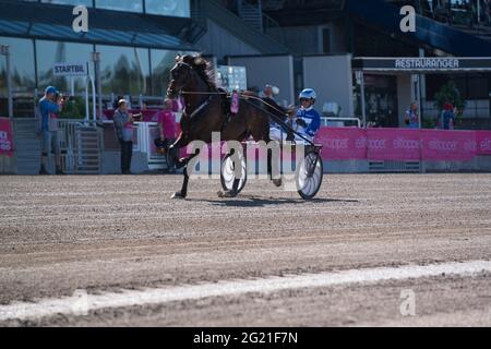 210530 - evento di trotting Elitloppet sul circuito di Solvalla a Stoccolma, Svezia. Foto di alta qualità Foto Stock