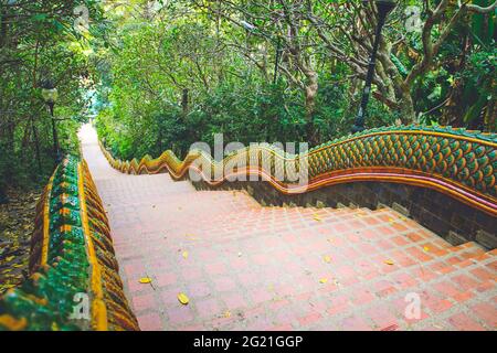 Il Naga lungo famoso in tutto il mondo scala 306 gradini in Wat Phra che Doi Suthep tempe, provincia di Chiang mai, Thailandia. Foto Stock